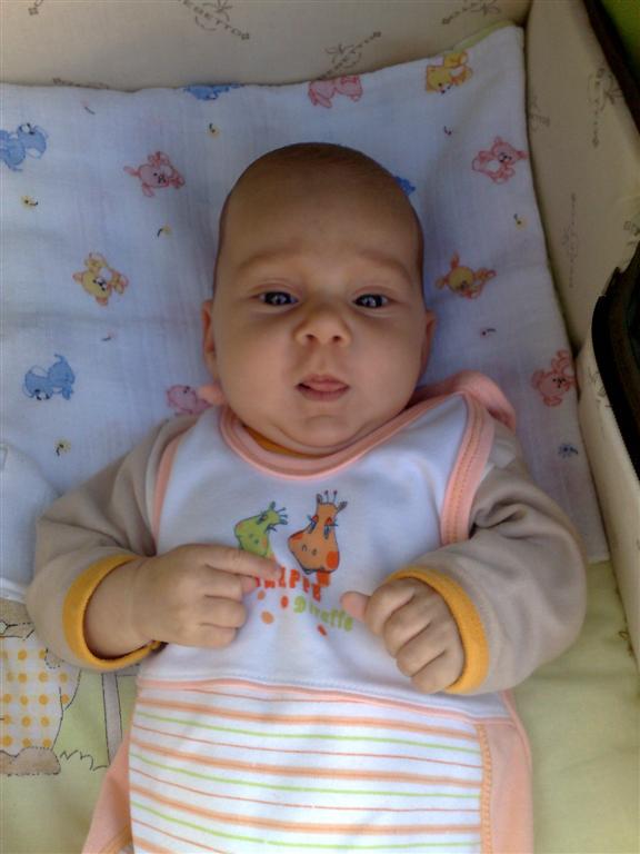 21092009801 (Large).jpg