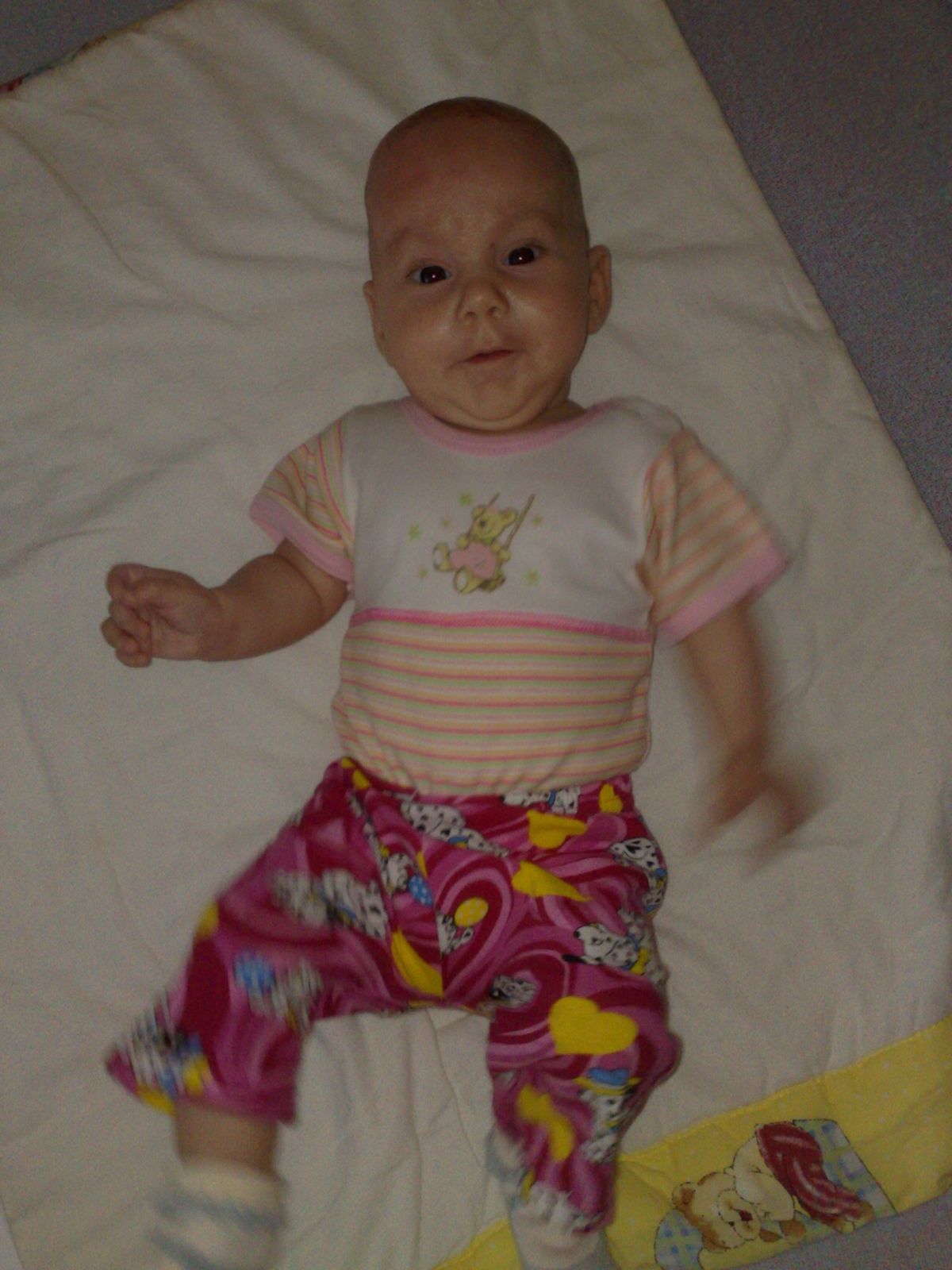 21102009854.jpg