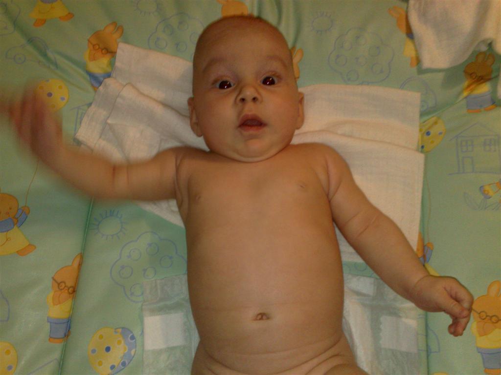 25102009872 (Large).jpg