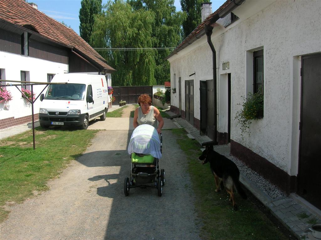 DSCN3718 (Large).JPG