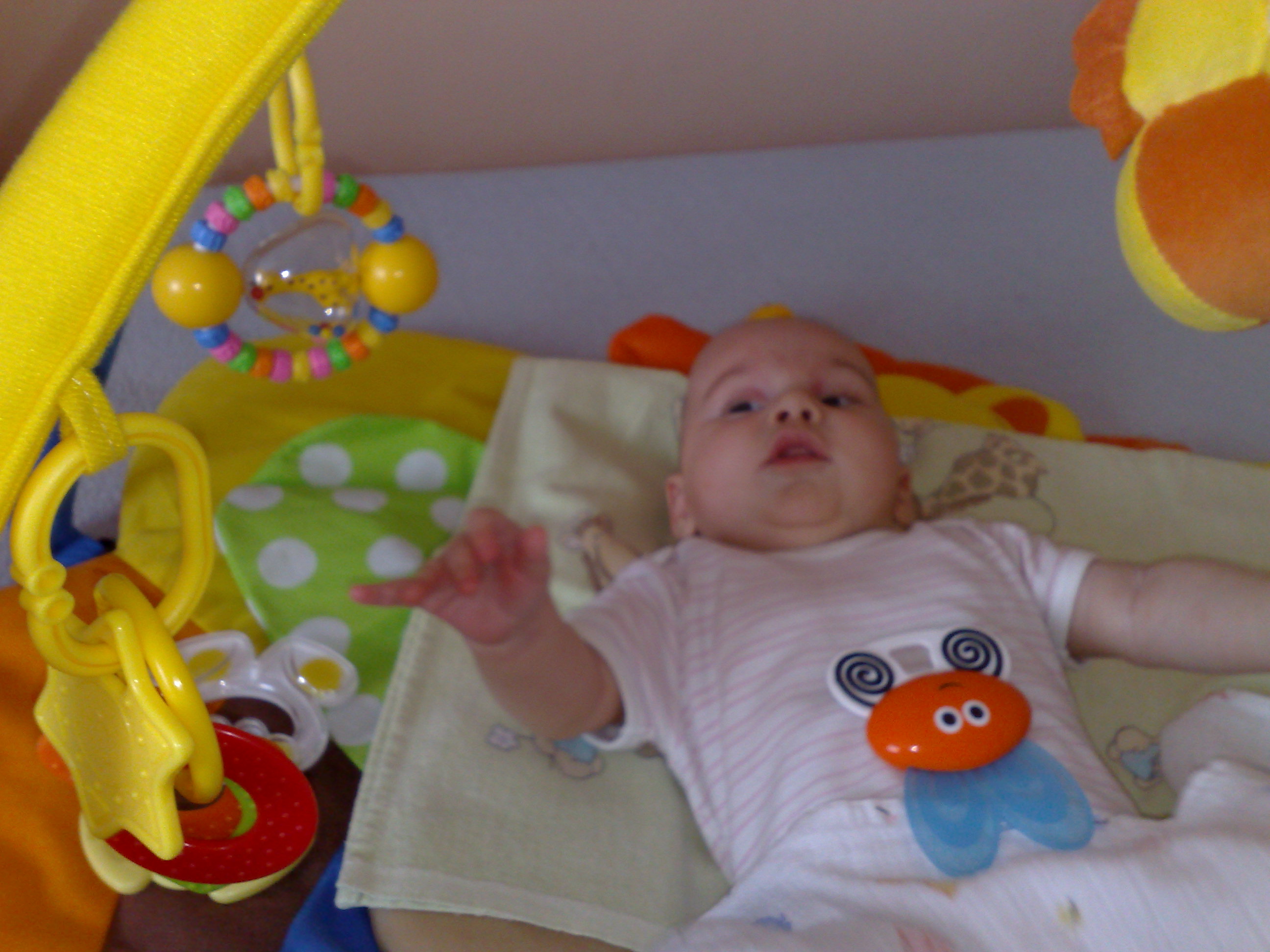 05112009948.jpg