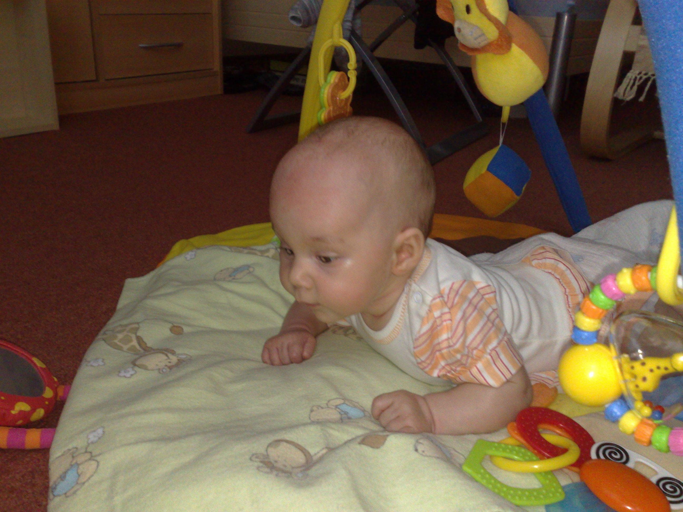 06112009958.jpg