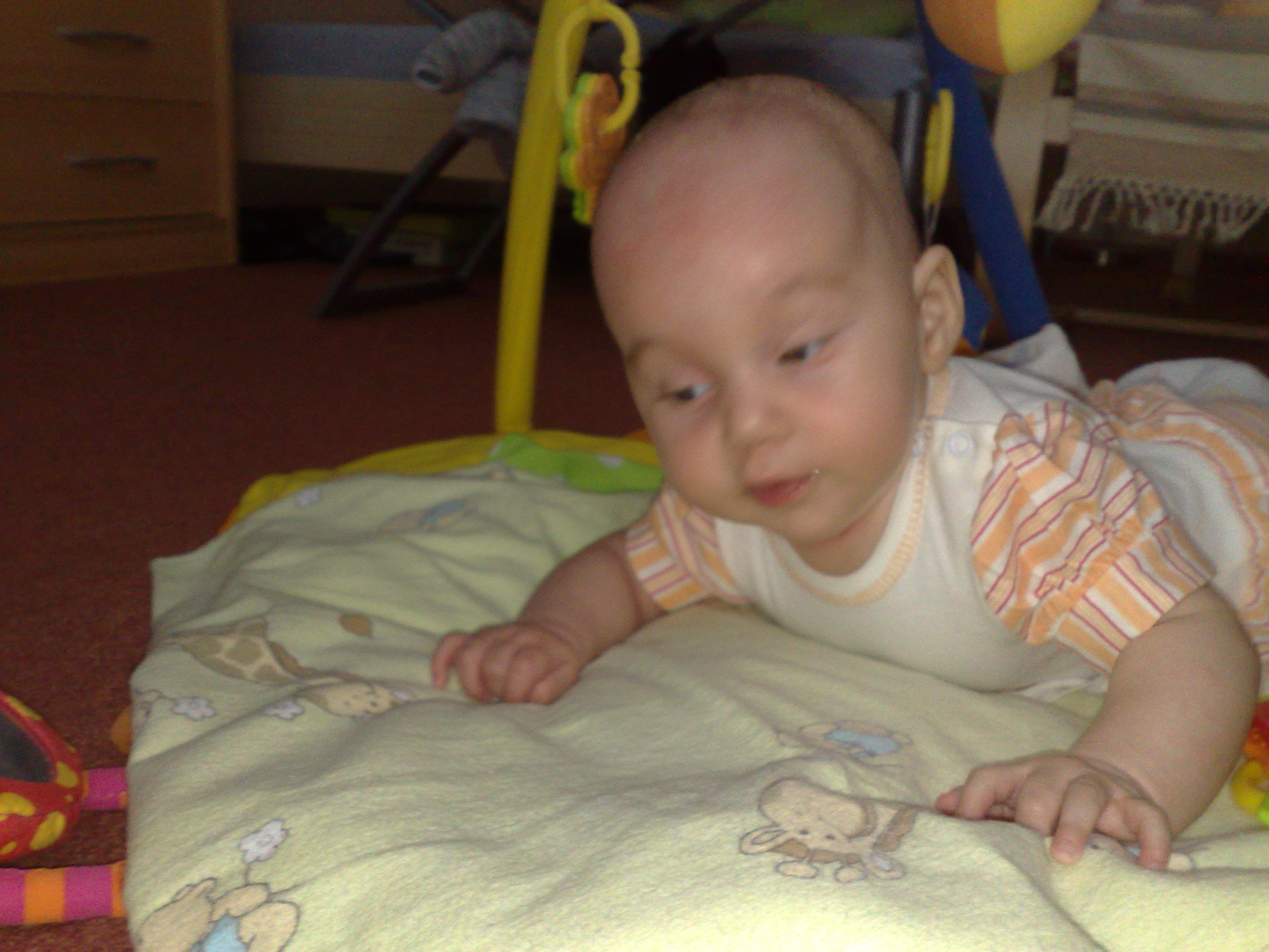 06112009962.jpg