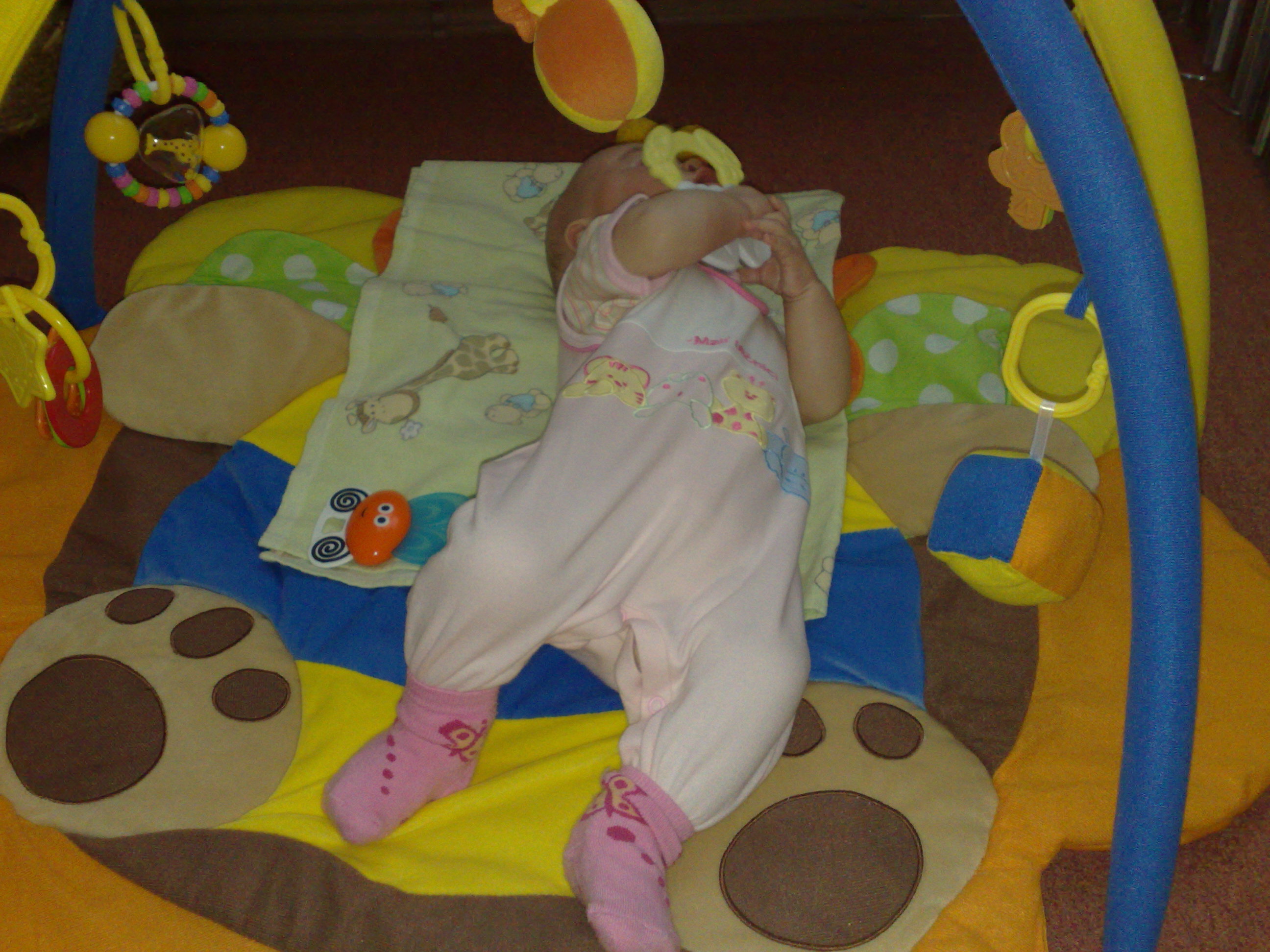 09112009966.jpg