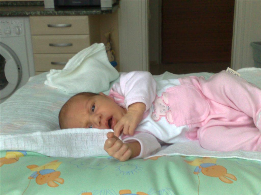 29072009657 (Large).jpg
