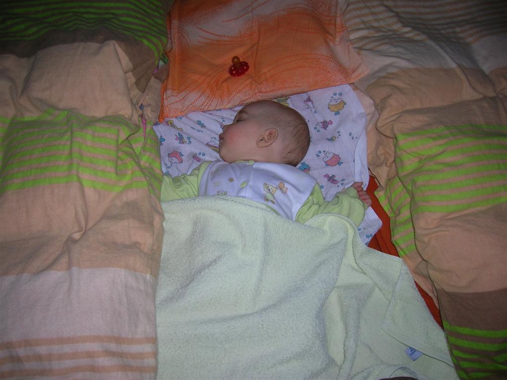 DSCN4059 (Large).JPG