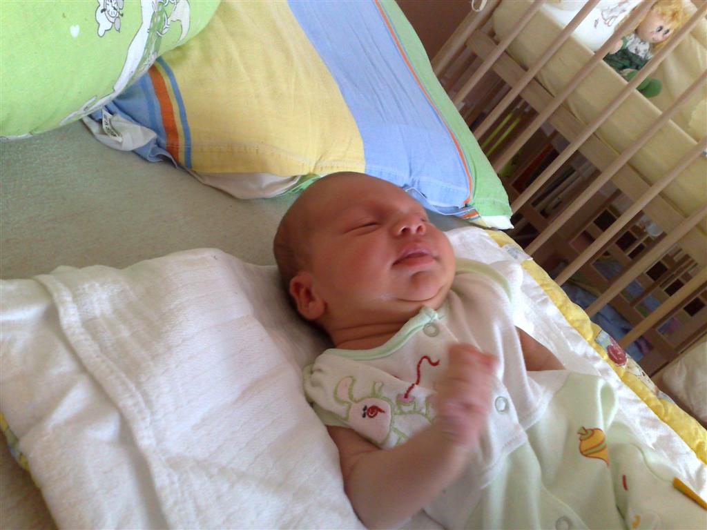 05082009667 (Large).jpg