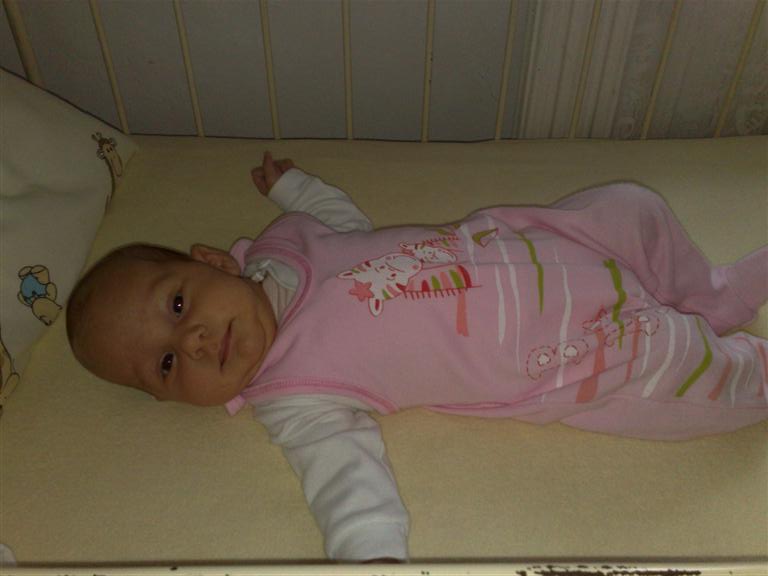 04092009726 (Large).jpg