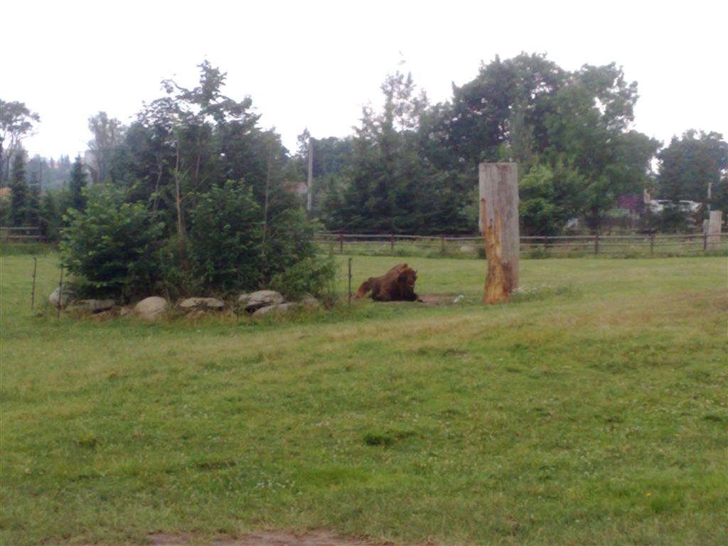 060720102001 (Large).jpg