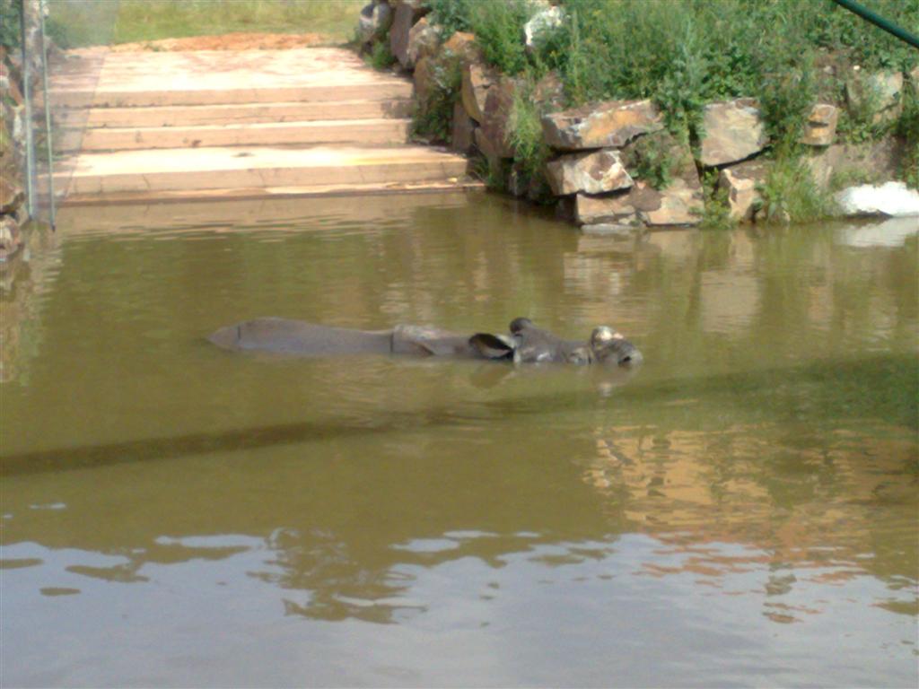 060720102003 (Large).jpg