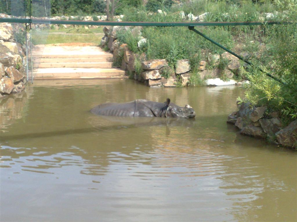 060720102004 (Large).jpg