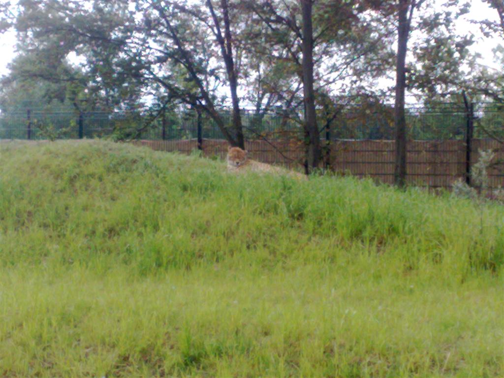 060720102010 (Large).jpg