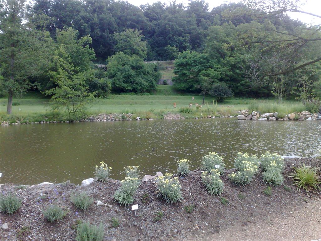 060720102011 (Large).jpg