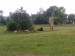 060720102001 (Large).jpg